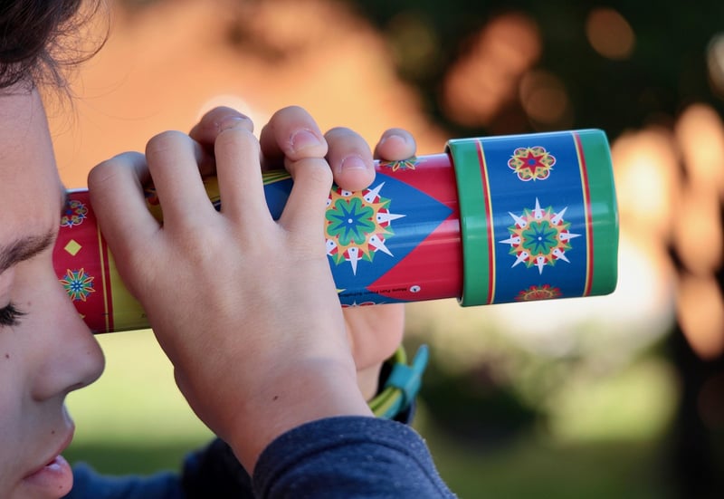 Cardboard Tube Binoculars